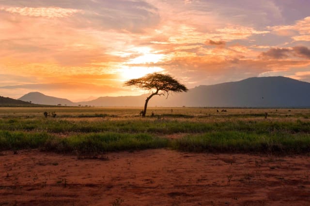 Viaggi di gruppo in Africa